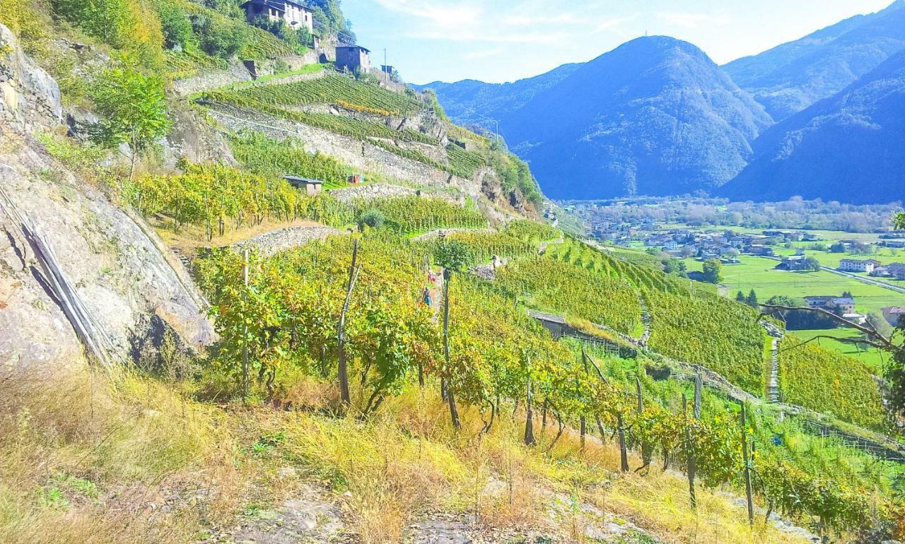 Apartmán Pergolato Alpino P.Terra Teglio Exteriér fotografie
